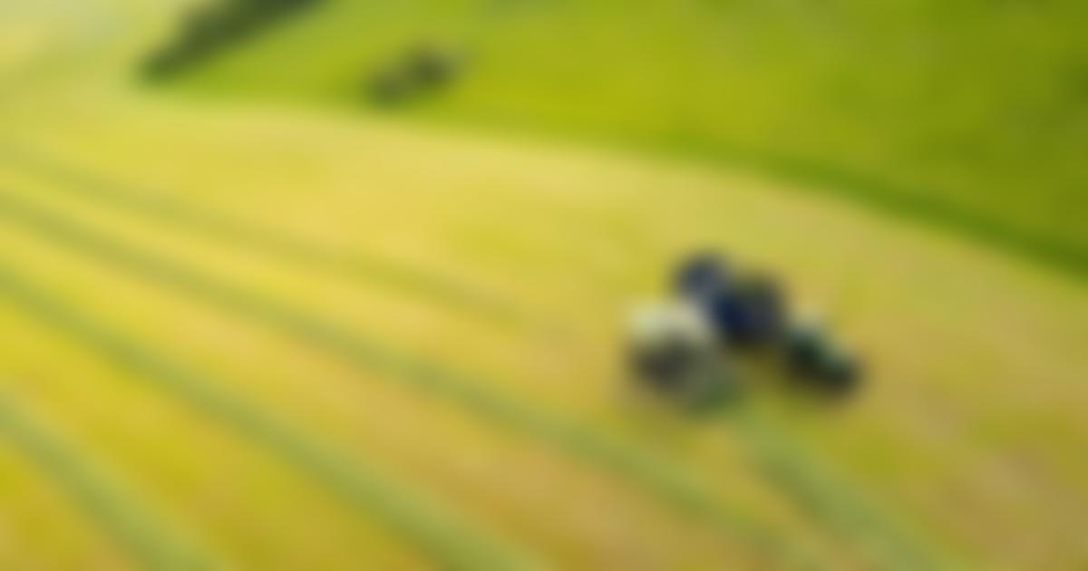 Milton Abbas Emily Faulkner Trust | Charici