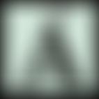 Ashover Agricultural And Horticultural Society | Charici