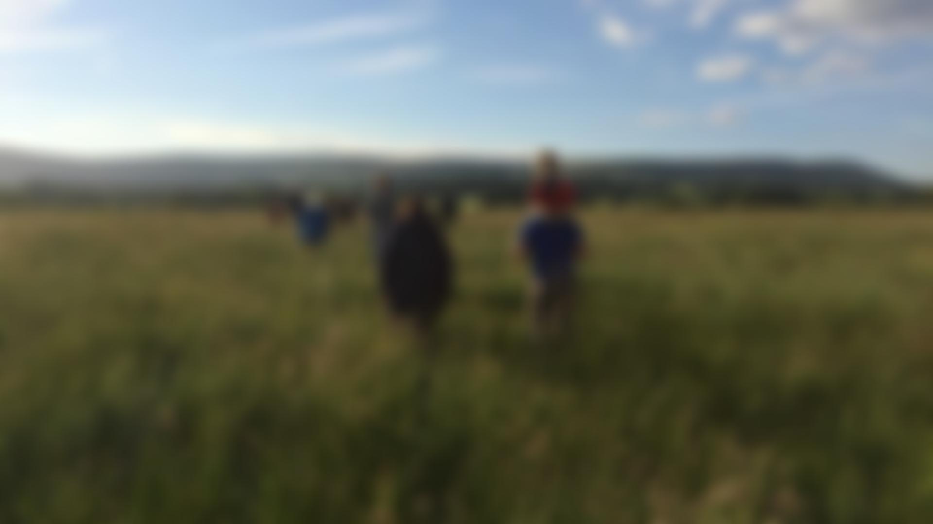 Ribble Rivers Trust Limited | Charici