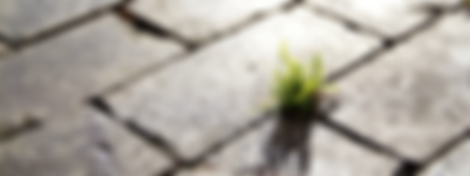 Northamptonshire Domestic Abuse Service | Charici