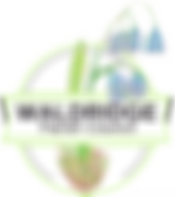 Waldridge Millennium Green Trust | Charici