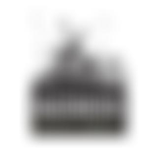 Talbot Field | Charici