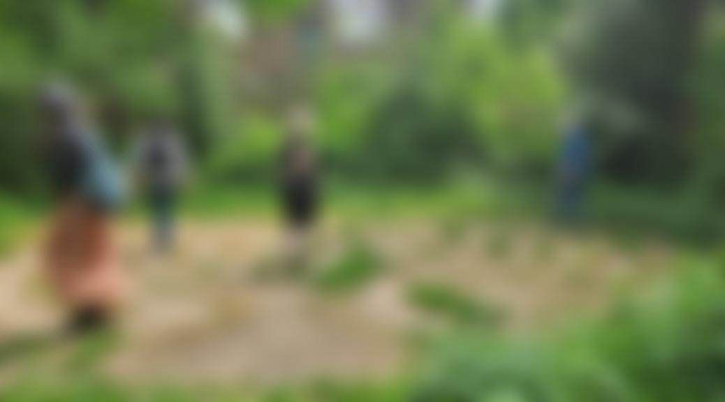 Albion Millennium Green Trust | Charici