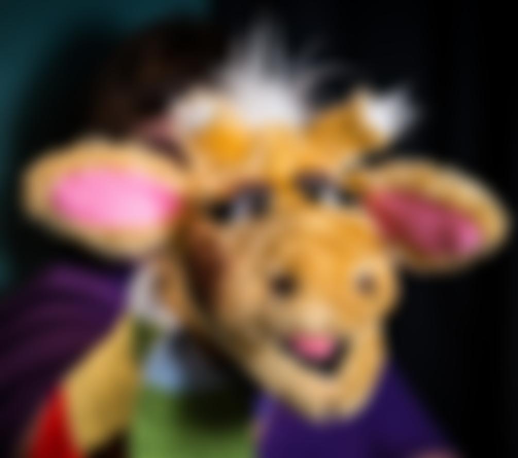 Life Education Wessex | Charici