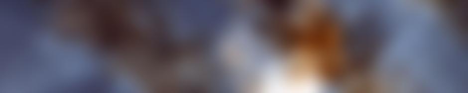 Gwent County History Association | Charici