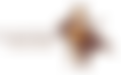 Hartlepool Music Society | Charici