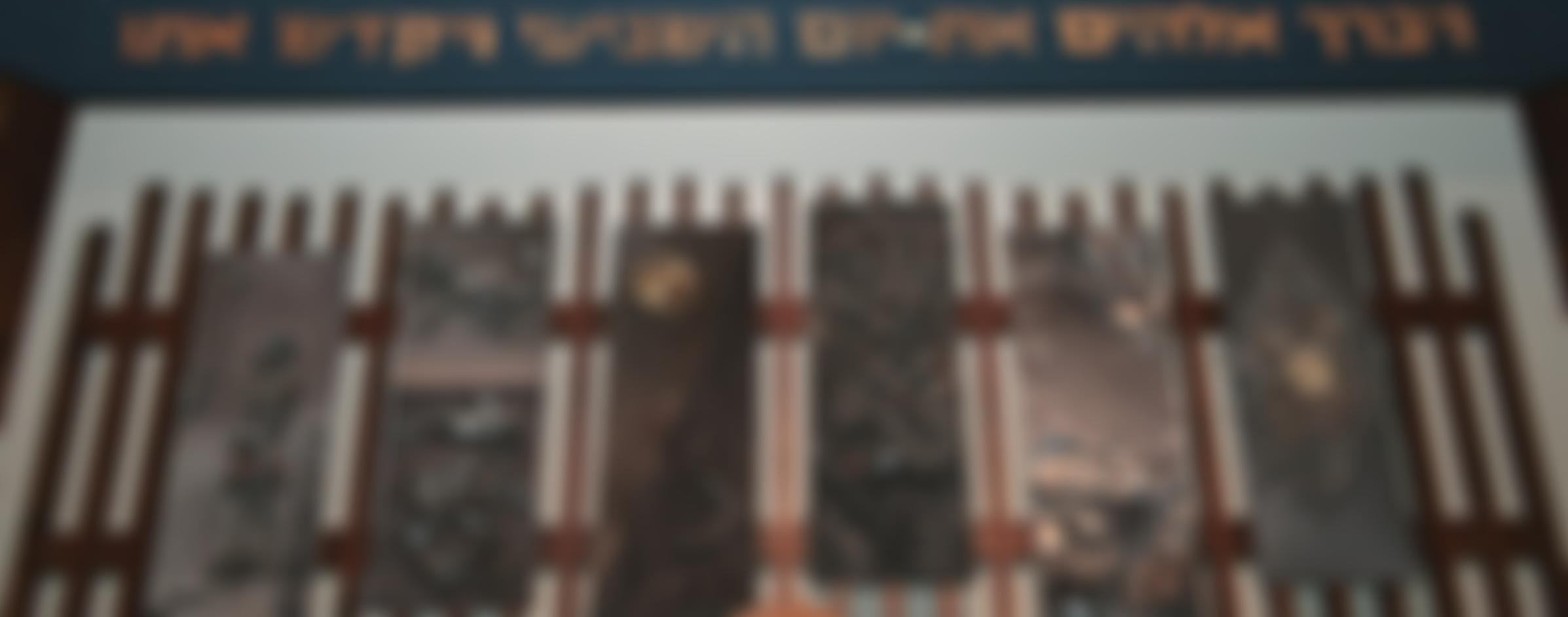 Representative Council Of North East Jewry | Charici