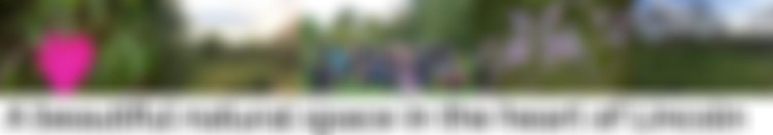 Liquorice Park Millennium Green Trust | Charici