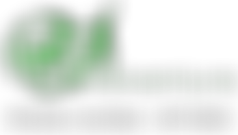 Bf Adventure | Charici