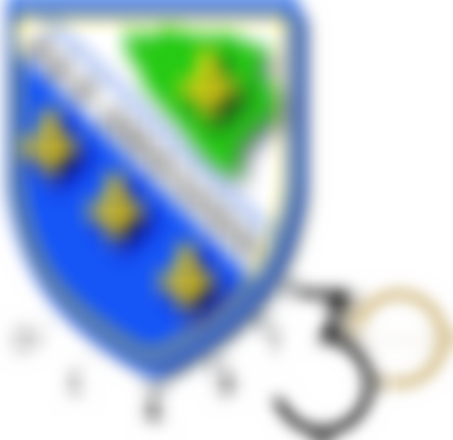 The Derby Bosnia Hercegovina Community Association | Charici