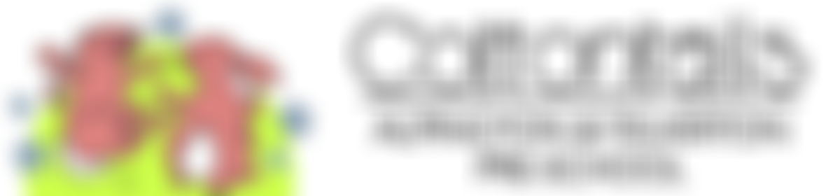 Alpington And Yelverton Pre-School | Charici