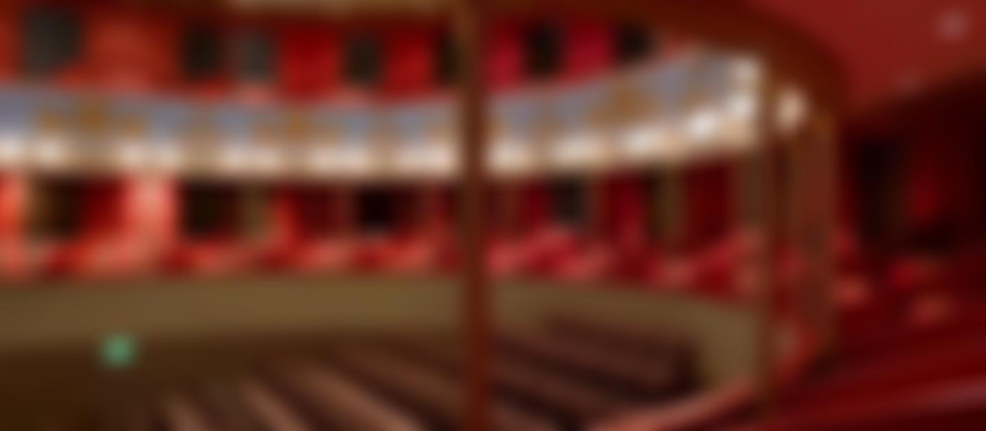 Bury St Edmunds Theatre Management Limited | Charici