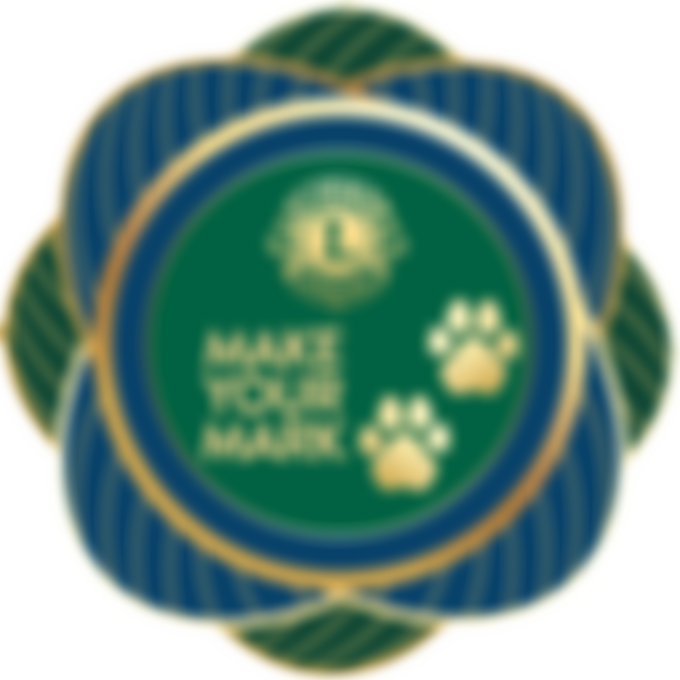 Lions Clubs International District 105Sc Charity Trust | Charici