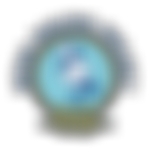 The Rona Trust | Charici