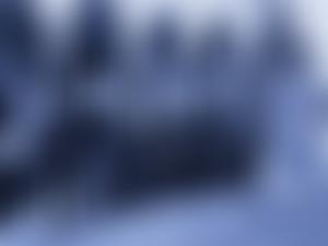 The Verification Research Training And Information Centre ( Vertic ) | Charici