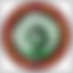 Wolverhampton & District Model Engineering Society Limited | Charici