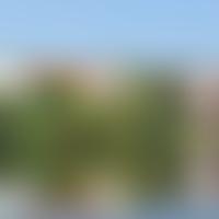 The Taylor And Hammond Educational Foundation | Charici