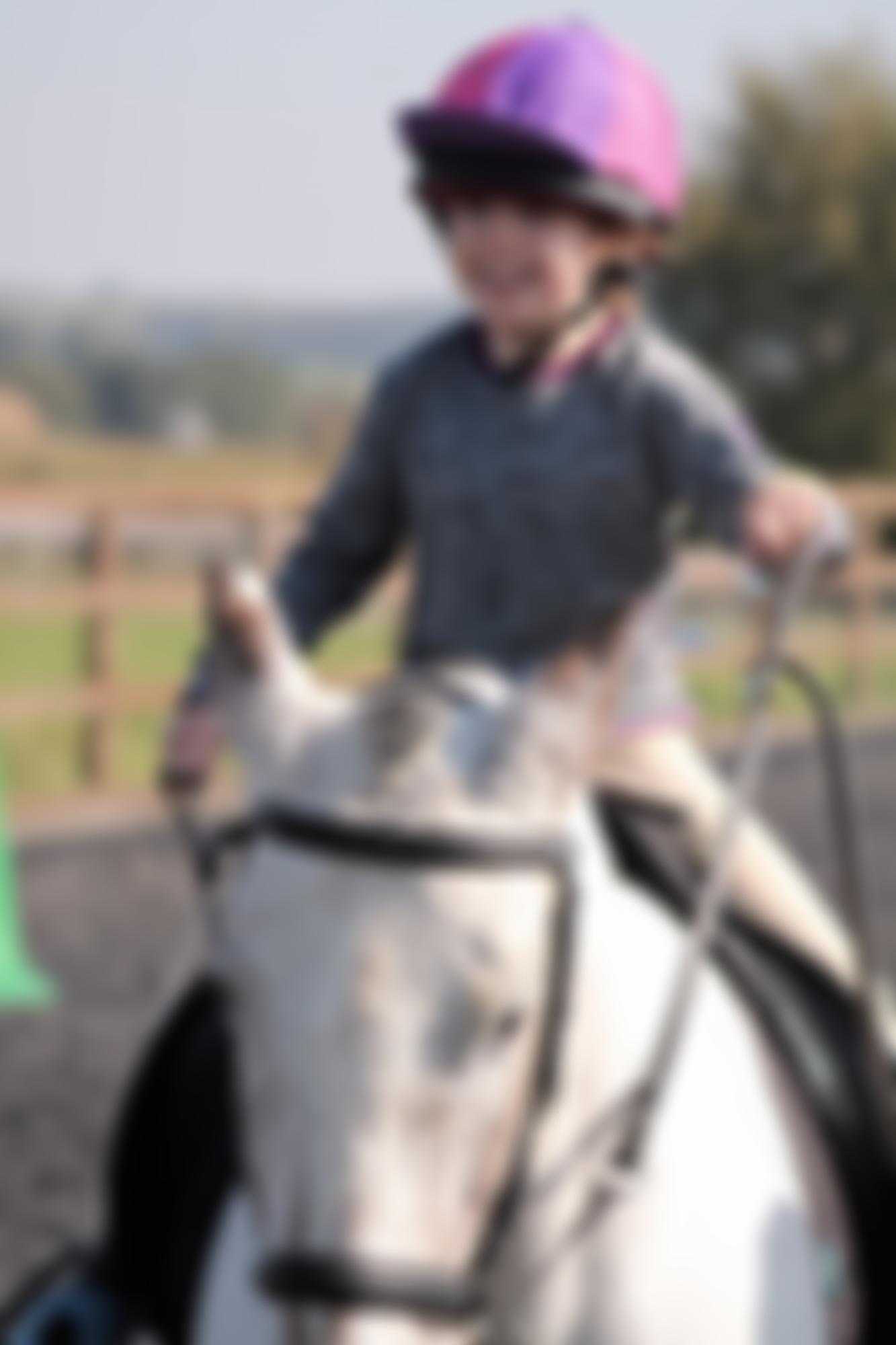 Kesteven Rideability | Charici