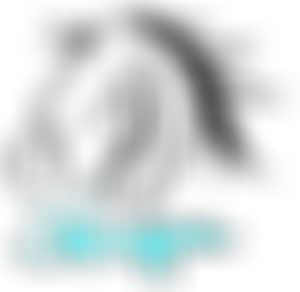 Skreppa Horses Rda | Charici