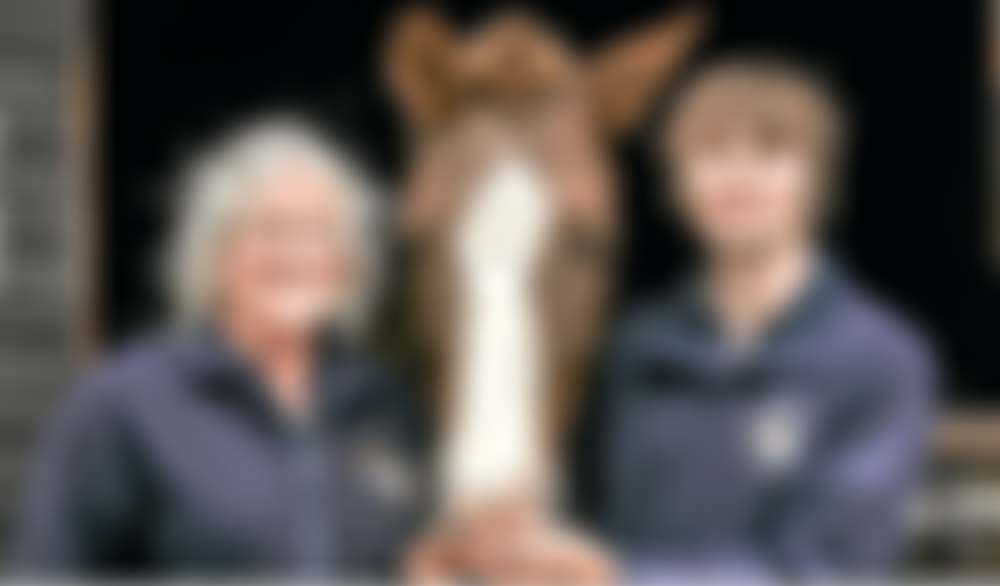 Arundel Group Riding For The Disabled Association | Charici