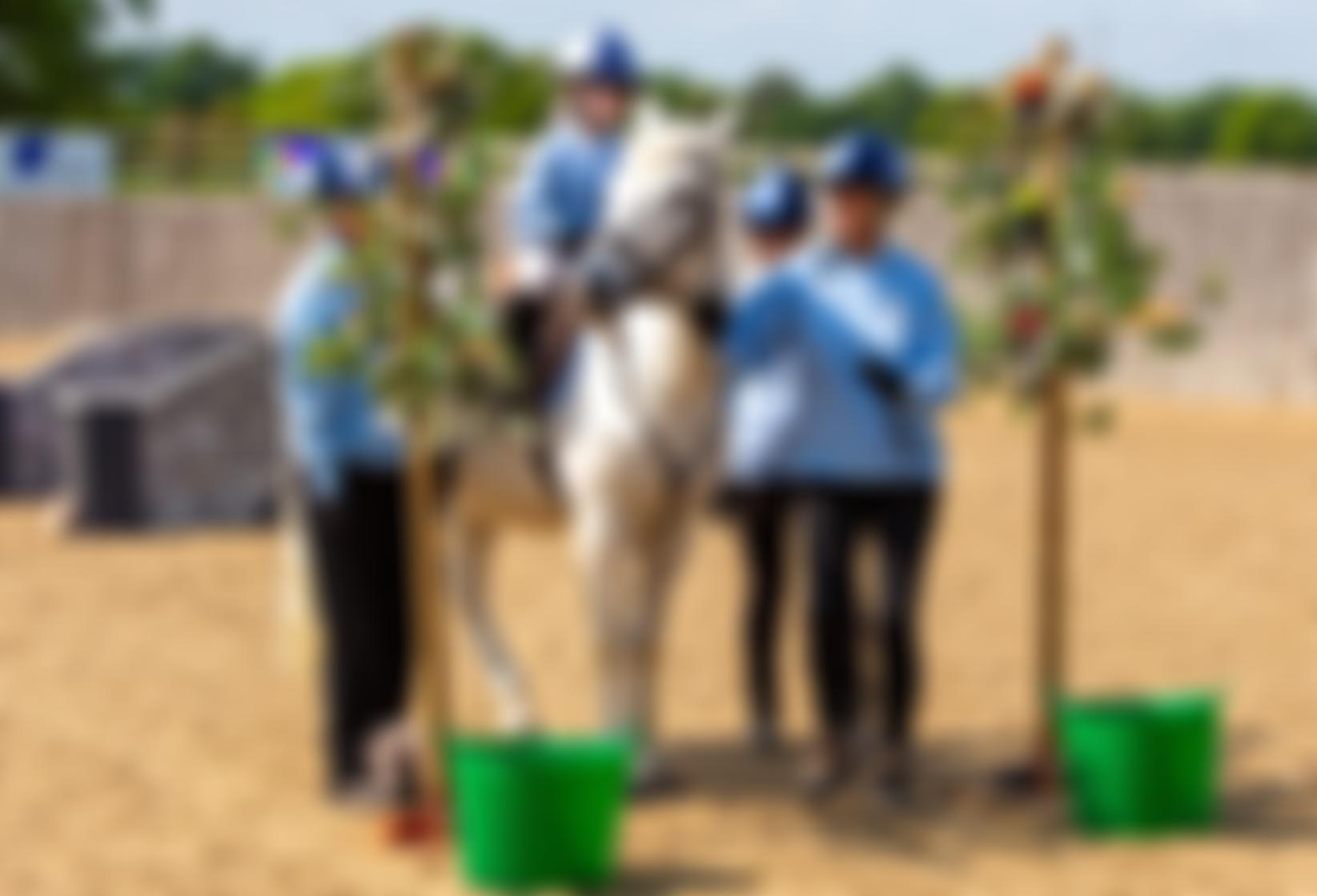 Hope In The Valley Group Riding Disabled Association | Charici