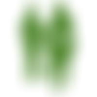 Stevenage And District Riding For The Disabled Association | Charici