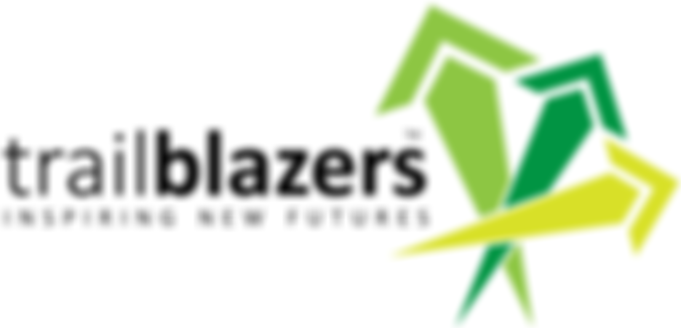 Trailblazers Mentoring Ltd | Charici