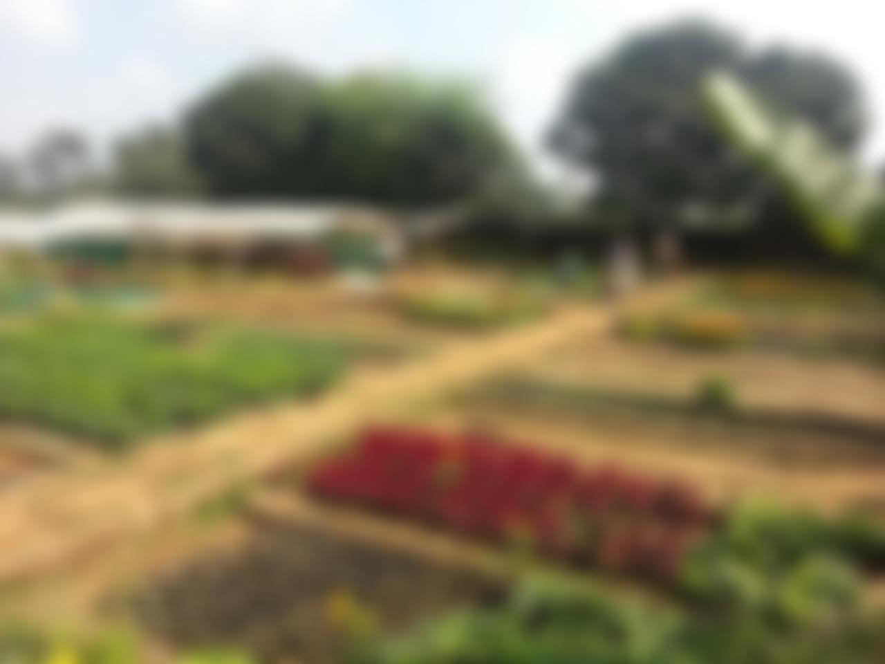 Divine Onkar Mission | Charici