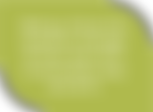 Regency Foundation Networx | Charici