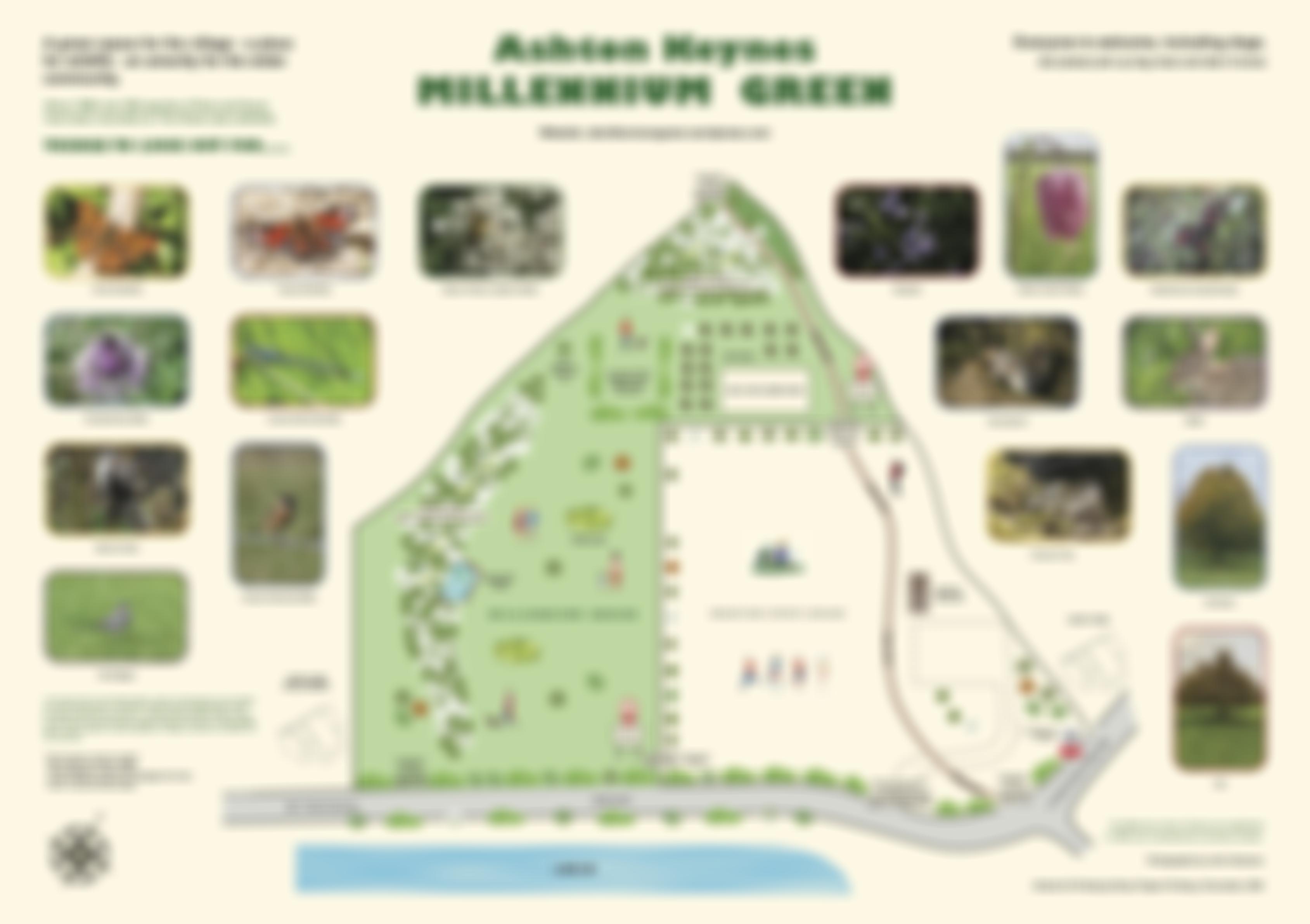 Ashton Keynes Millennium Green Trust | Charici