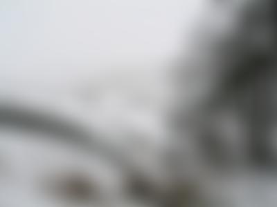 Long Preston Water Trust | Charici