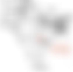 The Tulsi Trust | Charici