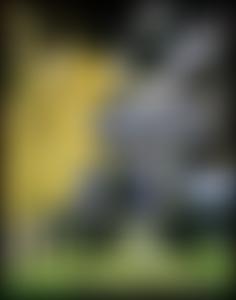 York Cemetery Trust | Charici