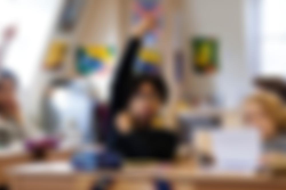 Greenwich Waldorf School Initiative | Charici