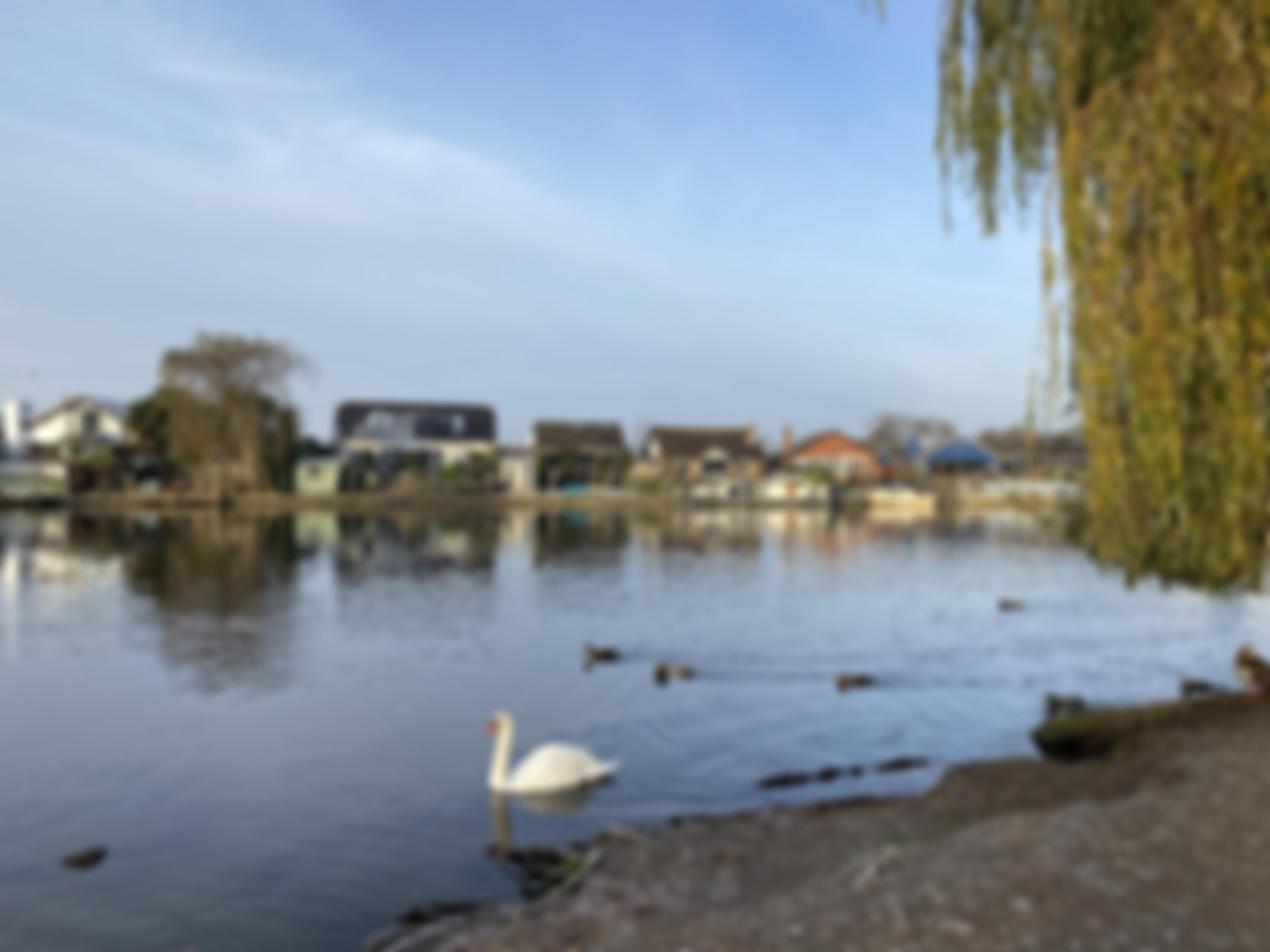 North Surrey Community Counselling Partnership | Charici