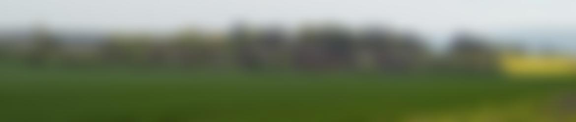 Defford Millennium Green Trust | Charici