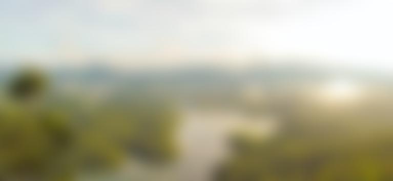 Traffic International | Charici