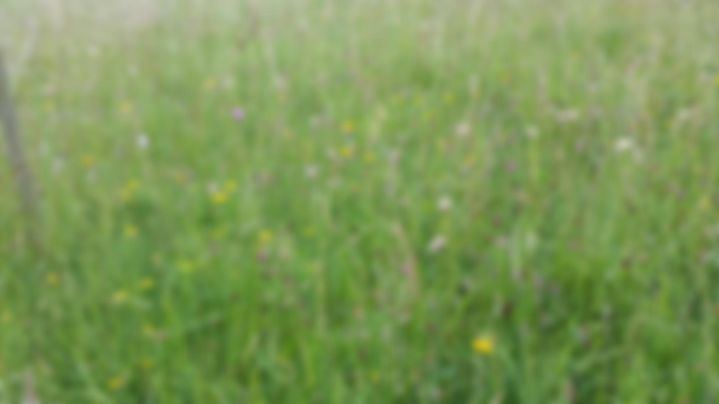 The Butler Memorial Trust | Charici