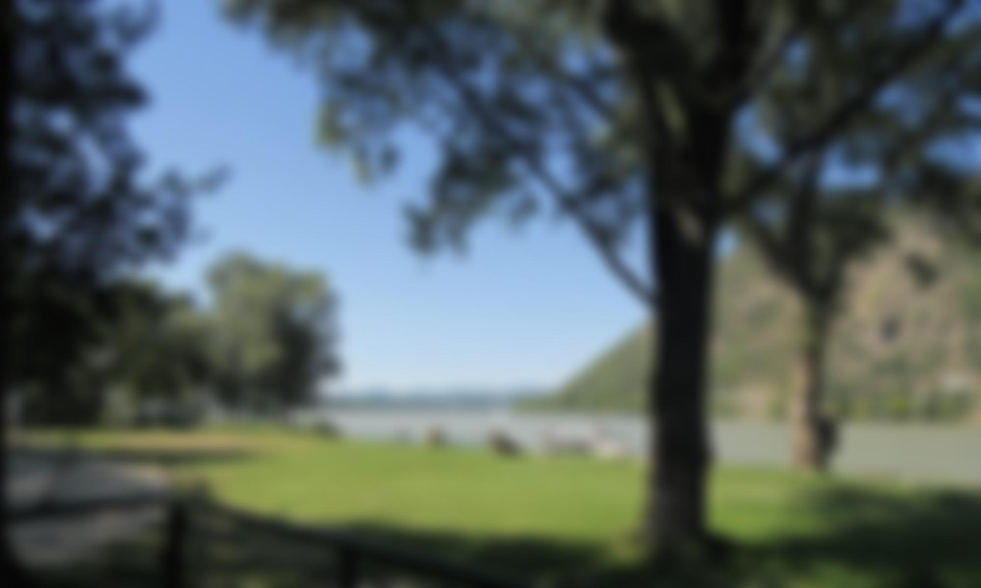 The Philadelphia Trust In Eastern Europe | Charici