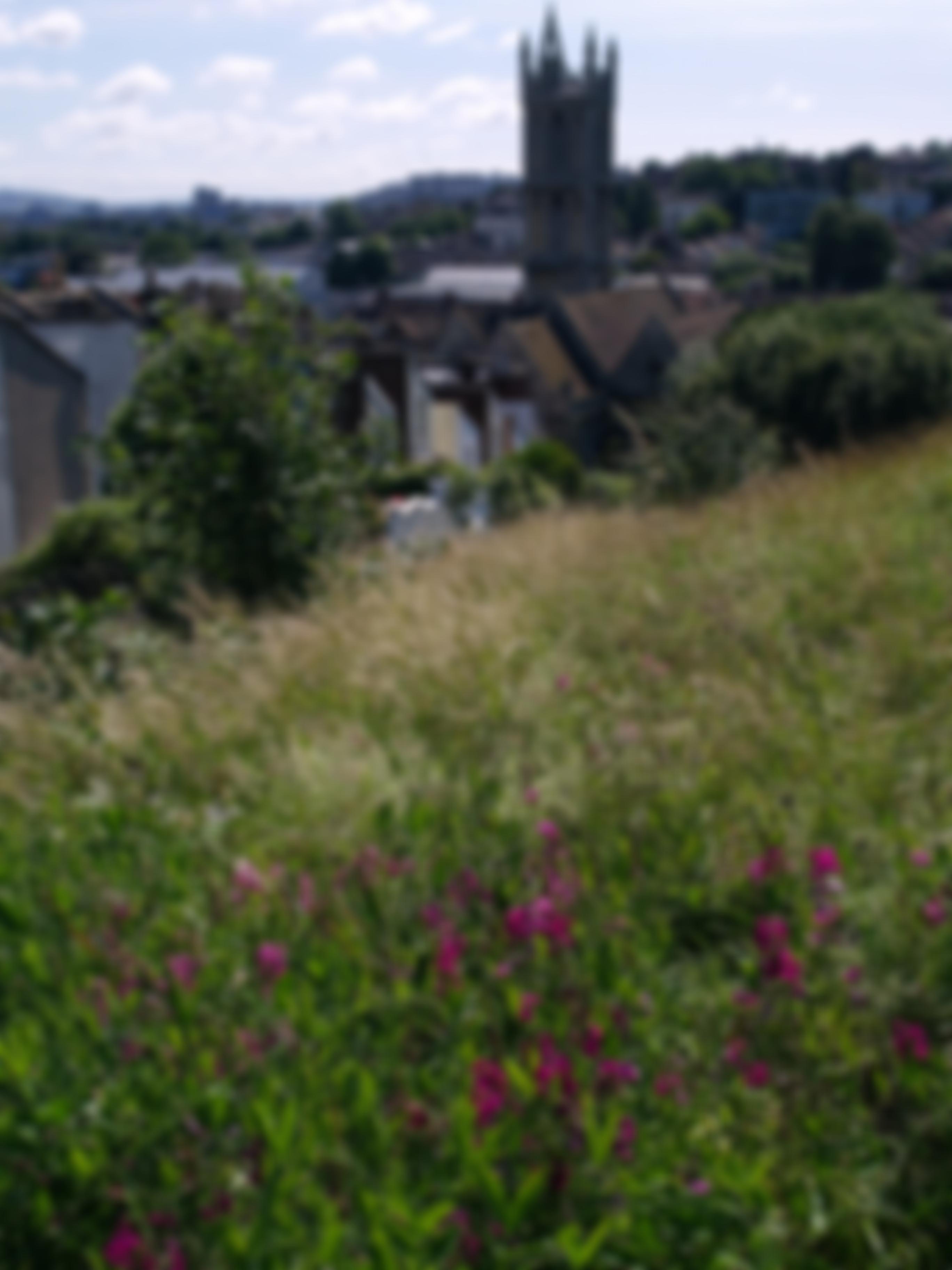 Narroways Millennium Green | Charici