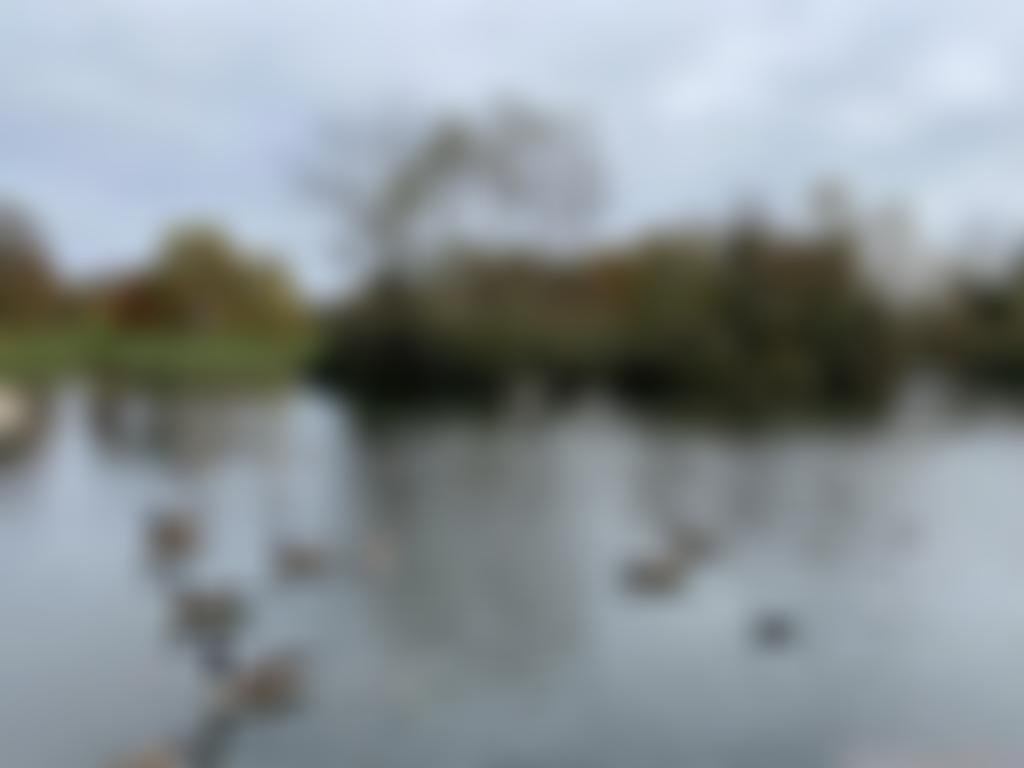 Northampton University Of The Third Age | Charici