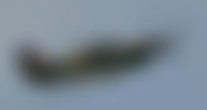 Royal Air Forces Association Newark Branch | Charici