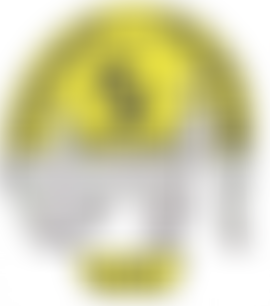 Friends Of Sangam (UK) | Charici