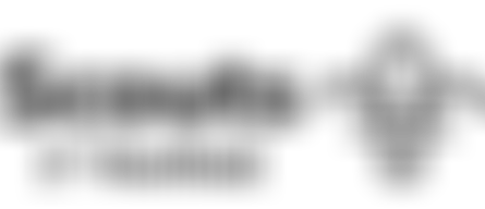 1St Henfield Scout Group | Charici