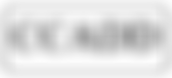 Council On Christian Approaches To Defence And Disarmament Limited | Charici