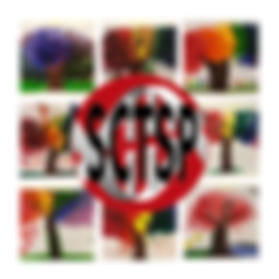 Sickle Cell And Thalassaemia Support Project (Wolverhampton) | Charici