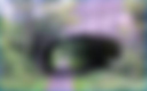 Tarka Country Trust | Charici