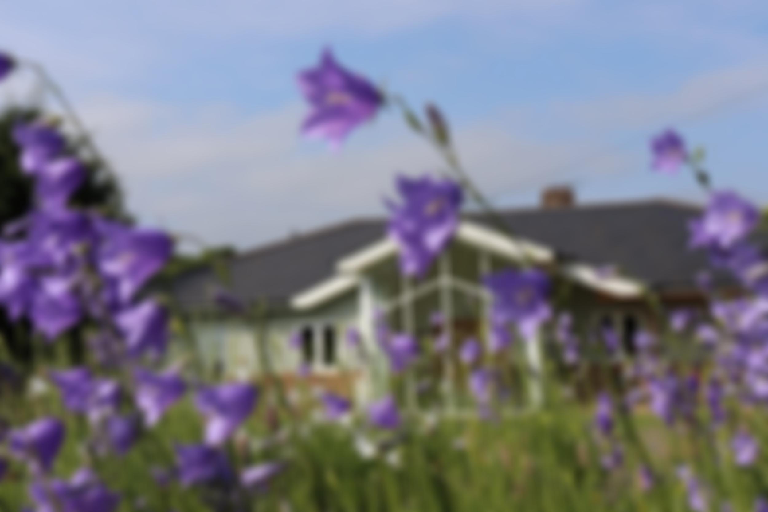 The Kilndown Millennium Green Trust | Charici