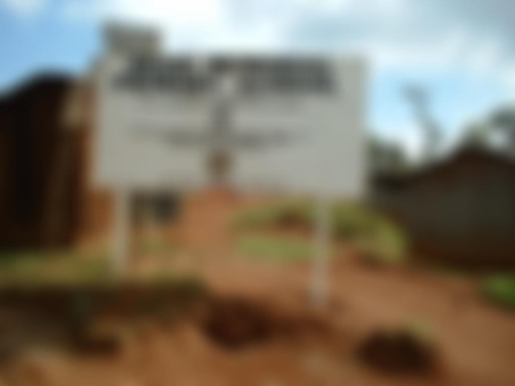 Desai Memorial Primary School Support Group | Charici