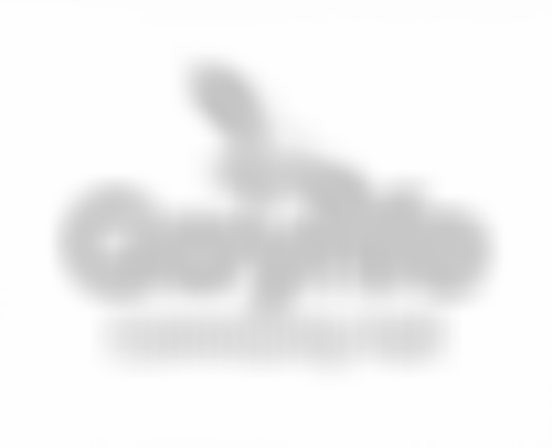 Gwynfe Community Hall Association | Charici